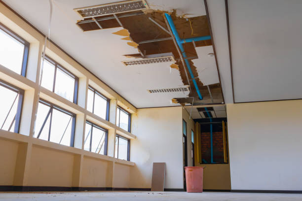 Best Water damage cleanup near me  in Comanche, TX