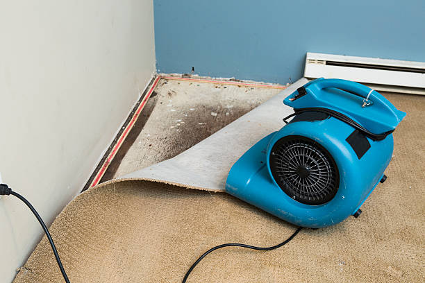 Best Water damage restoration specialists  in Comanche, TX